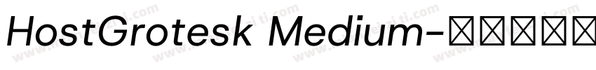 HostGrotesk Medium字体转换